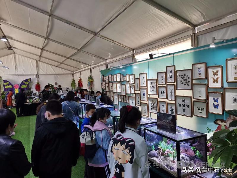 遛娃好去处好店推荐沉浸亲子体验,遛娃好去处亲子活动门票