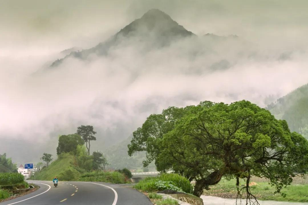 杭州最佳赏秋路线推荐,杭州附近赏秋的地方