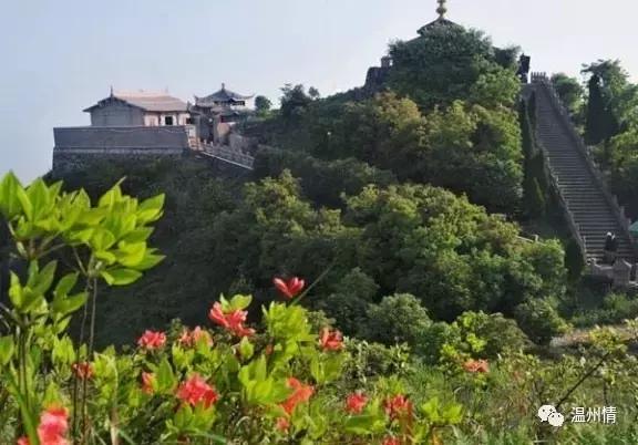 温州168海岸线沿途景点地图,温州60个免费景点大全