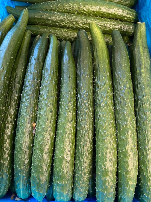 代购蔬菜免费送货,免费代购的食品