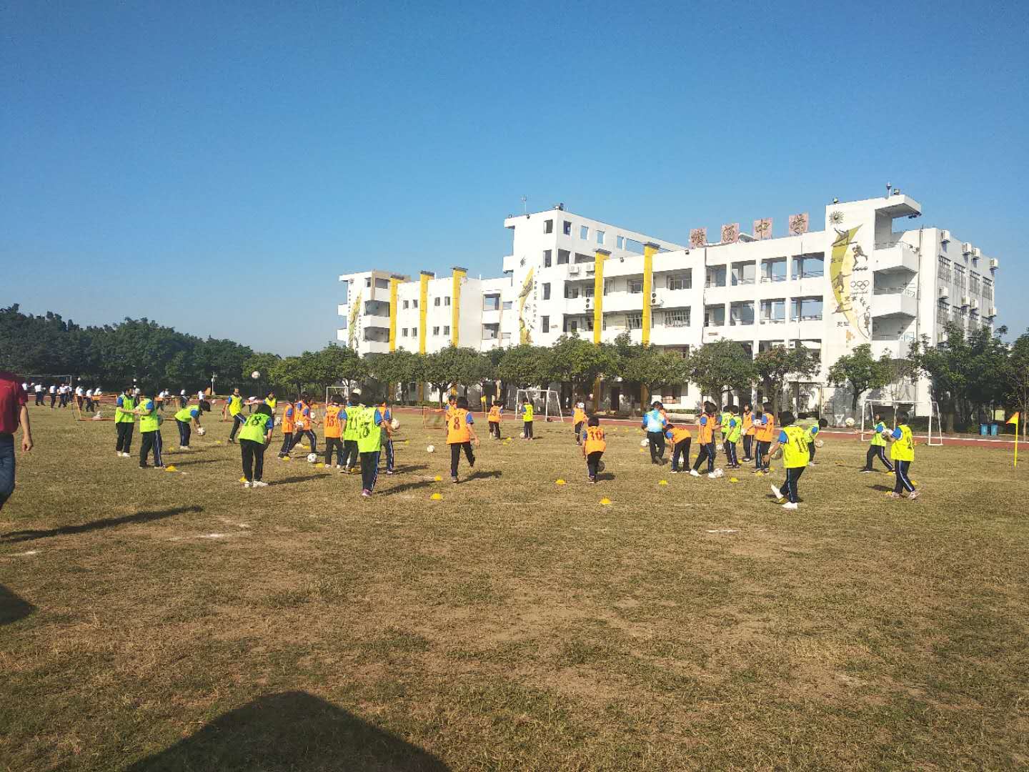 校园足球训练现状分析,校园足球开展现状及对策论文