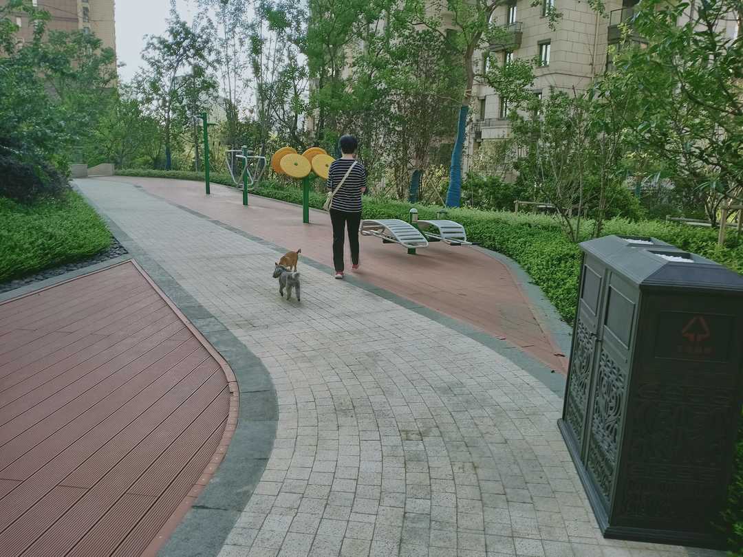 忆当初青春年少,再忆年少时已不再年少