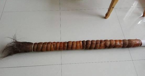 绿萝怎么造型更好看,大绿萝怎么做造型好看