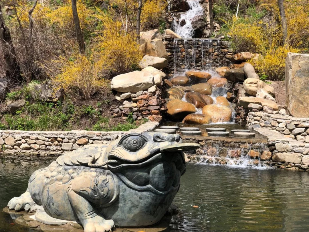 来一场原始森林的探险之旅——大连天门山旅游攻略