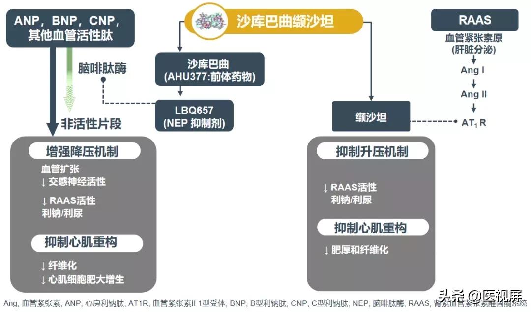 ckd合并高血压的治疗标准,伴有ckd的高血压患者推荐使用