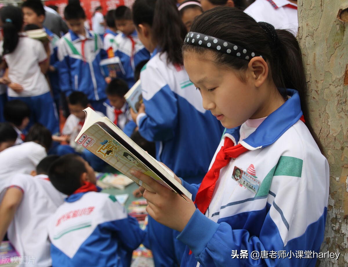 五年级数学求最大公因数知识点,公因数与最大公因数五年级