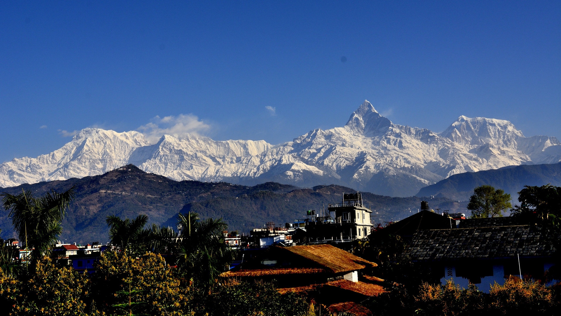尼泊尔肾村,尼泊尔的单肾村