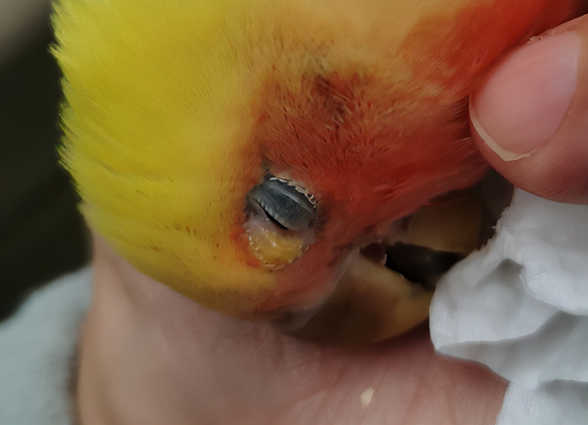 有多少快乐就有多少忧伤女声版,有多少快乐就有多少悲伤简谱