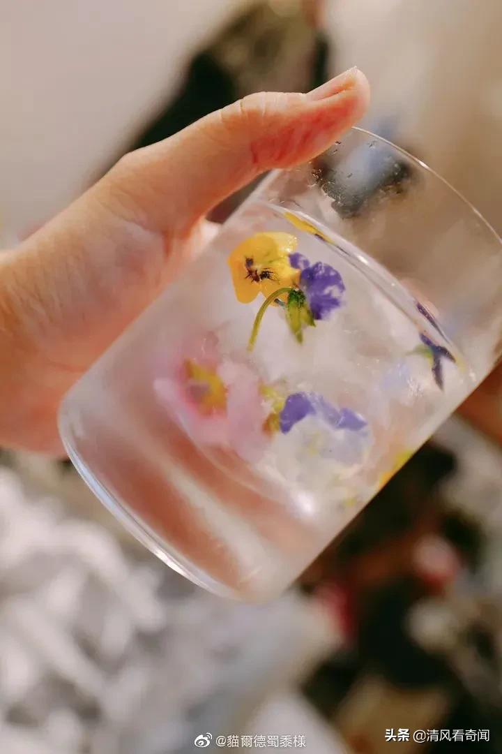 冻冰花美篇,冻冰花的美篇