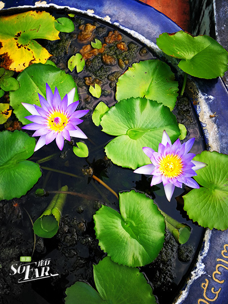 泰国值得去的景点,泰国小众景点图片大全