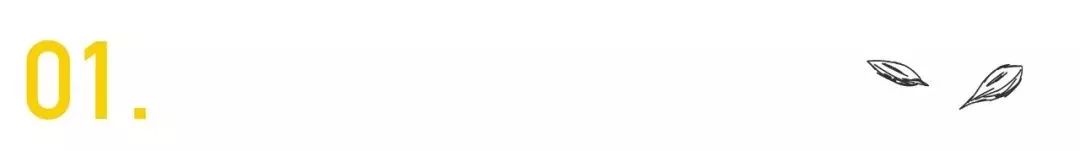 郯庐断裂形成的地质景观,郯庐断裂带如何形成的