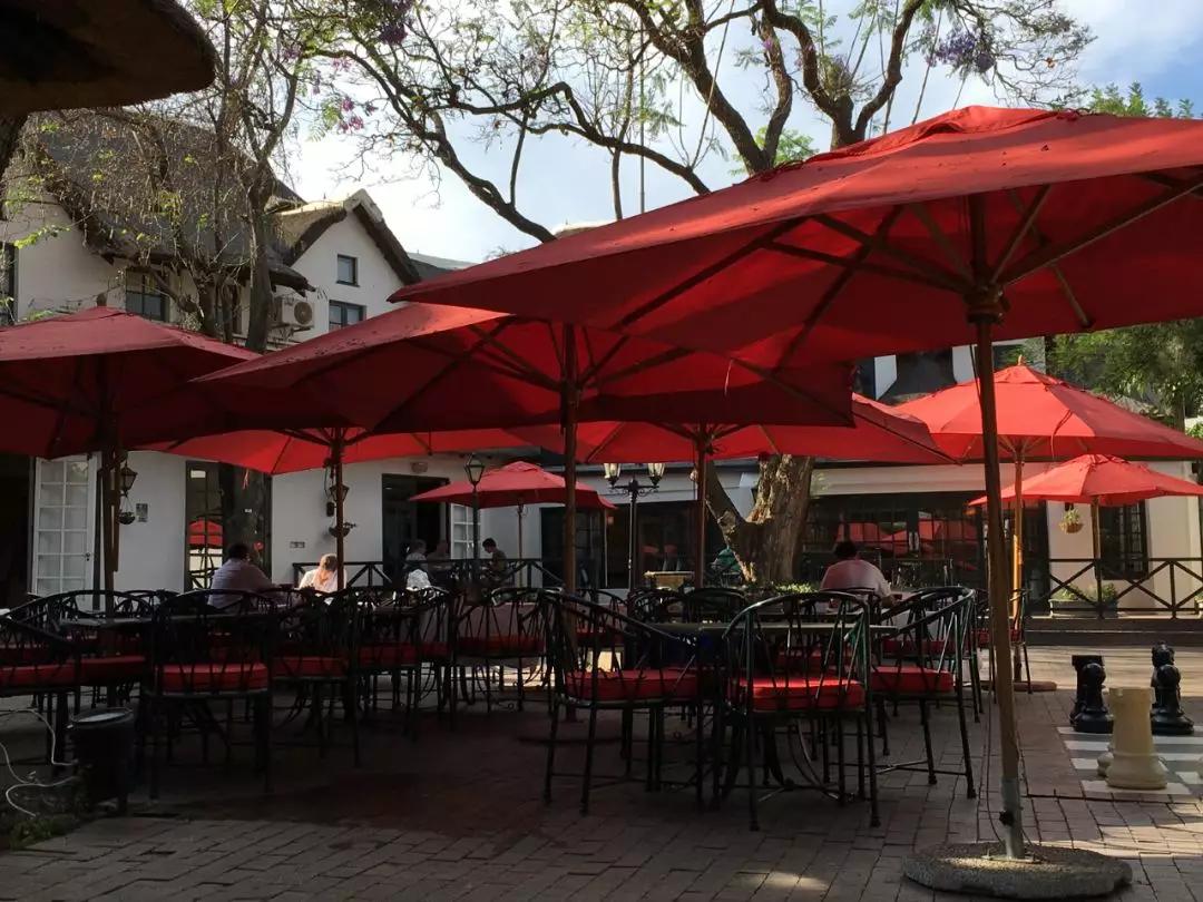 绘语养生｜非洲行画（二）