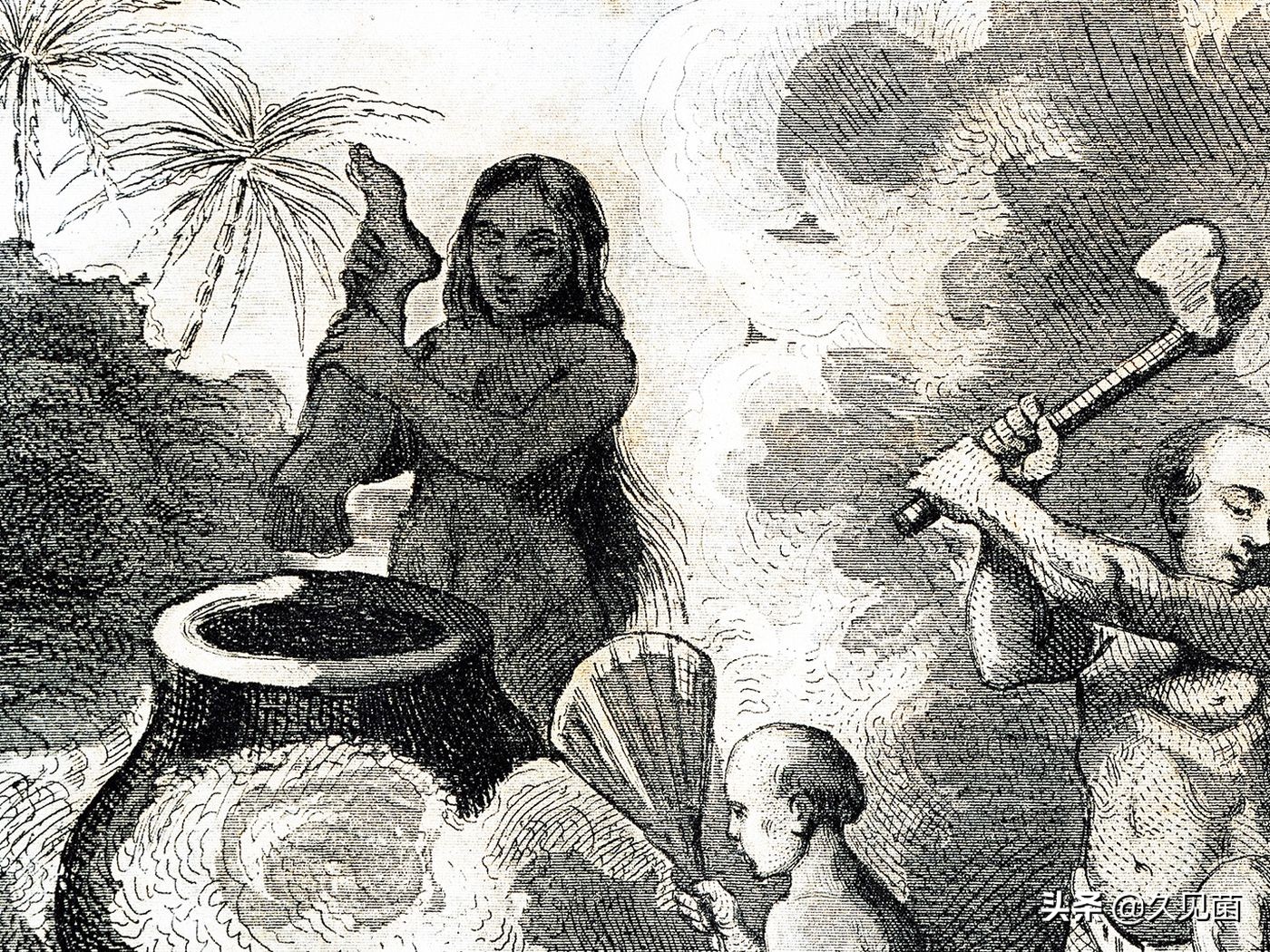 人类为啥不吃食肉动物的肉,人类为什么不吃大型食肉动物的肉