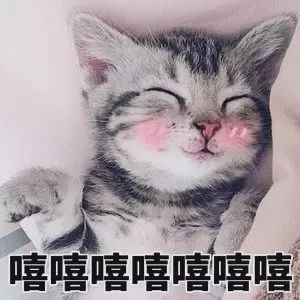 郑和竟是故宫600年以来最早的代购？我llllb了