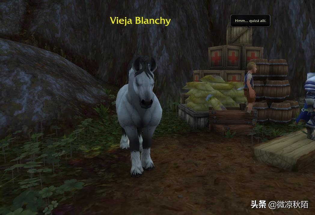 魔兽世界红色骷髅战马,魔兽世界亡灵军马