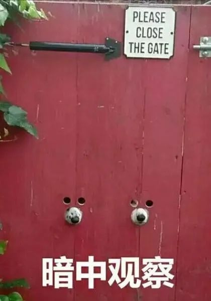 聚划算有必要买吗,聚划算为什么每天价格都不一样