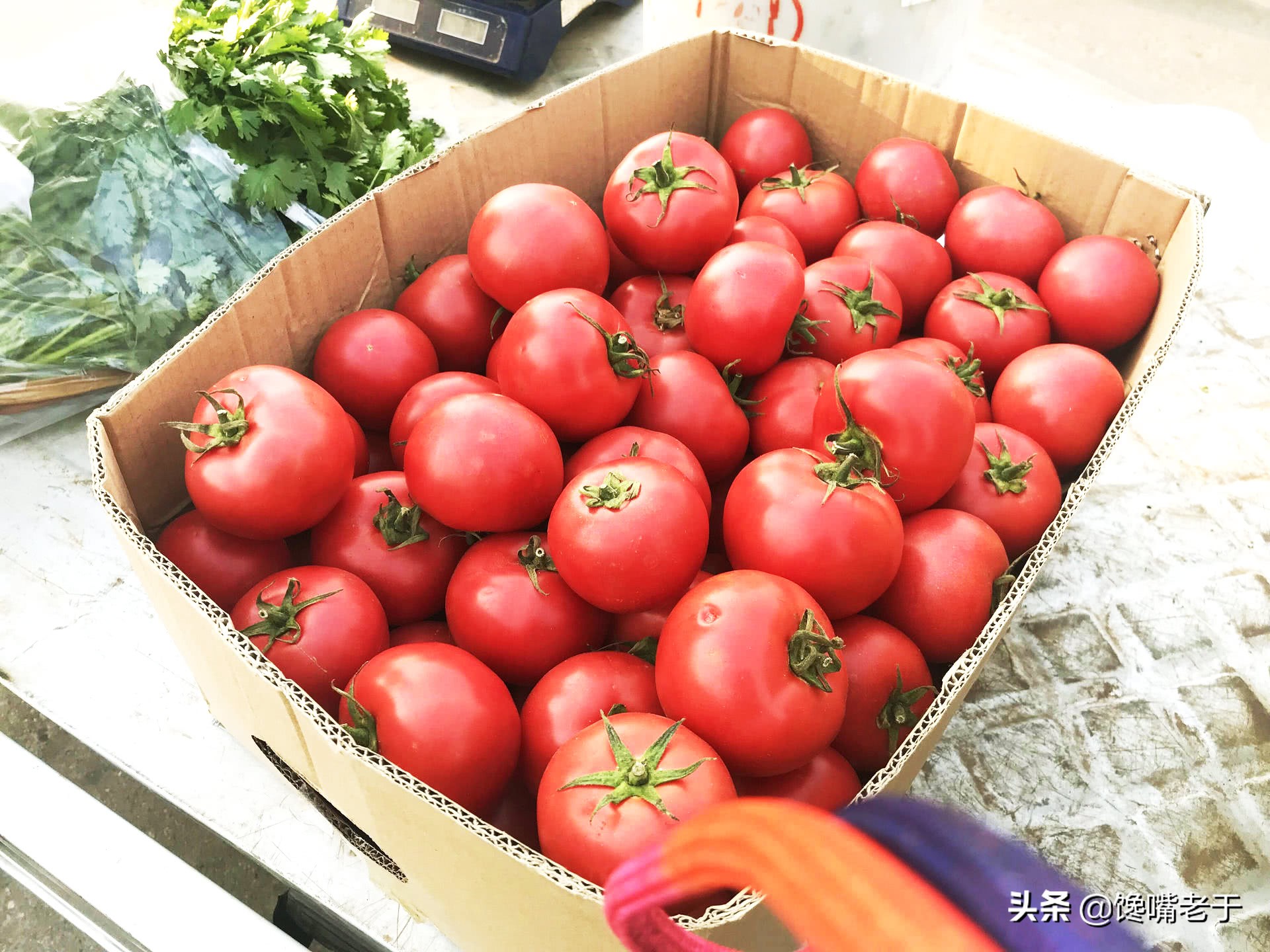 怎么挑西红柿又甜又不酸,现在的西红柿都那么硬