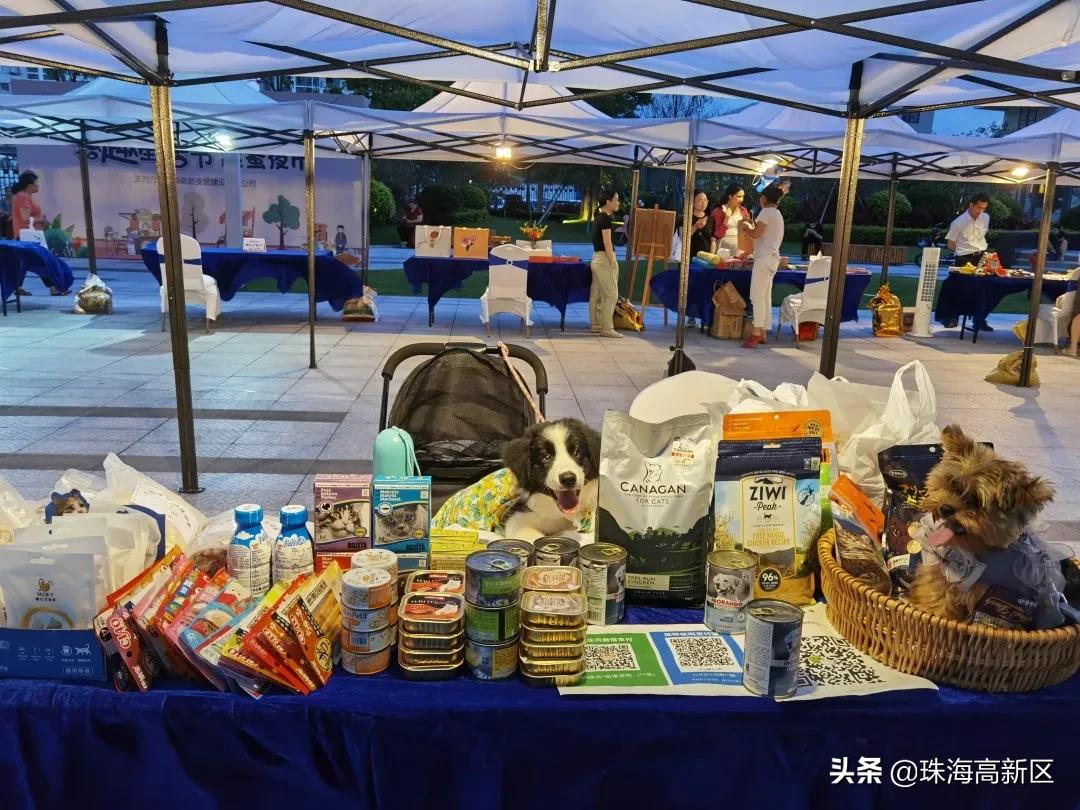 越夜越精彩纷呈,越夜越精彩贵阳