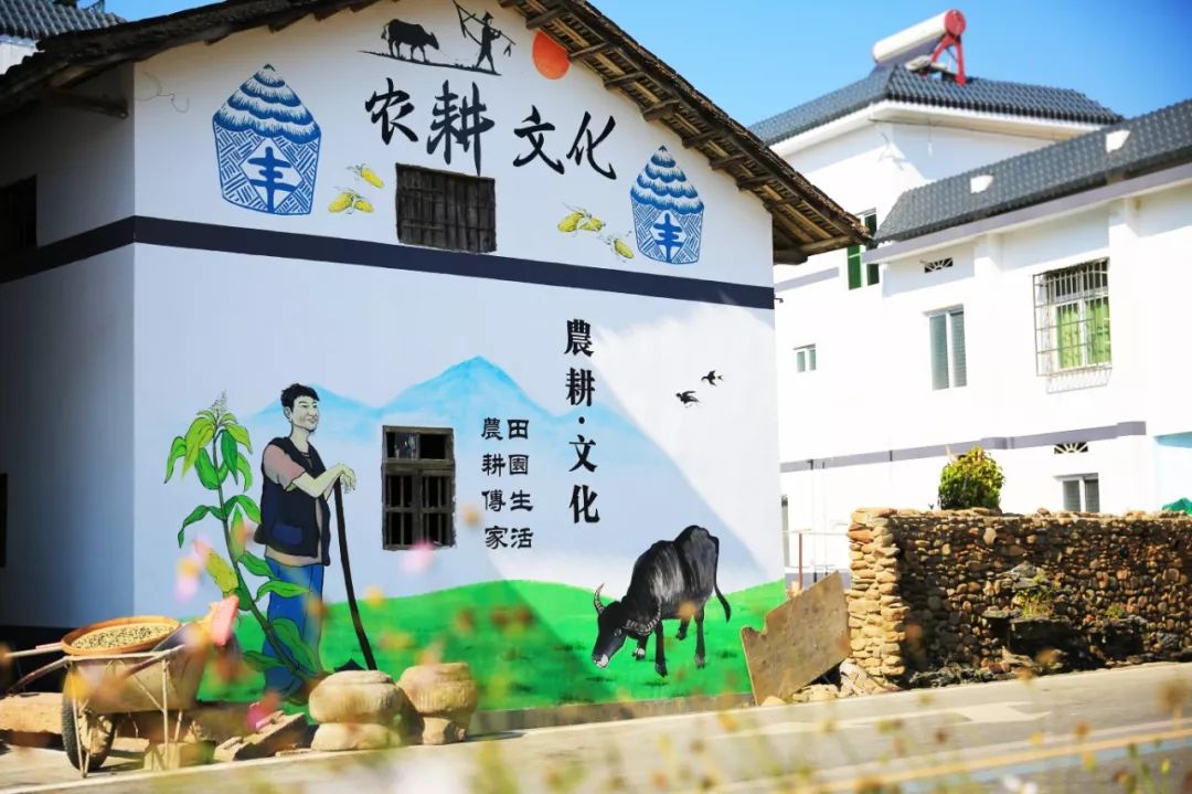 韶关最美乡村游,广东韶关乡村大自然的风景