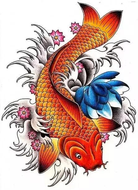 转运锦鲤简笔画,简笔画100种锦鲤图片