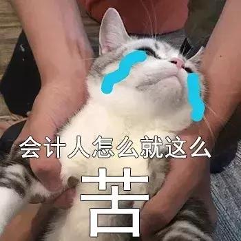 人家说是做会计的我怎么回答,别人问你工作做财务幽默回答