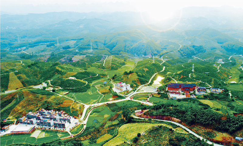 壮美广西做出什么贡献,壮美广西