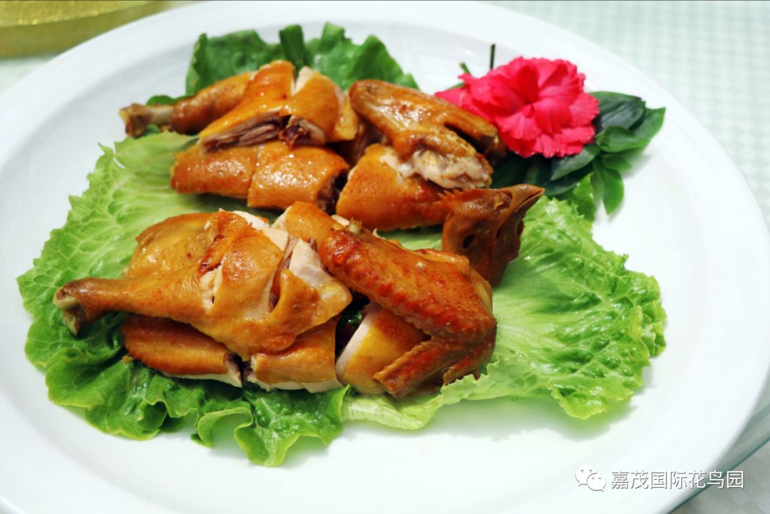 江阴嘉茂国际花鸟园,江阴嘉茂国际花鸟园什么时候再开