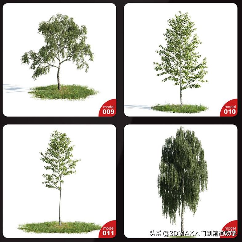 3dmax树木模型在哪里,3dmax植物树