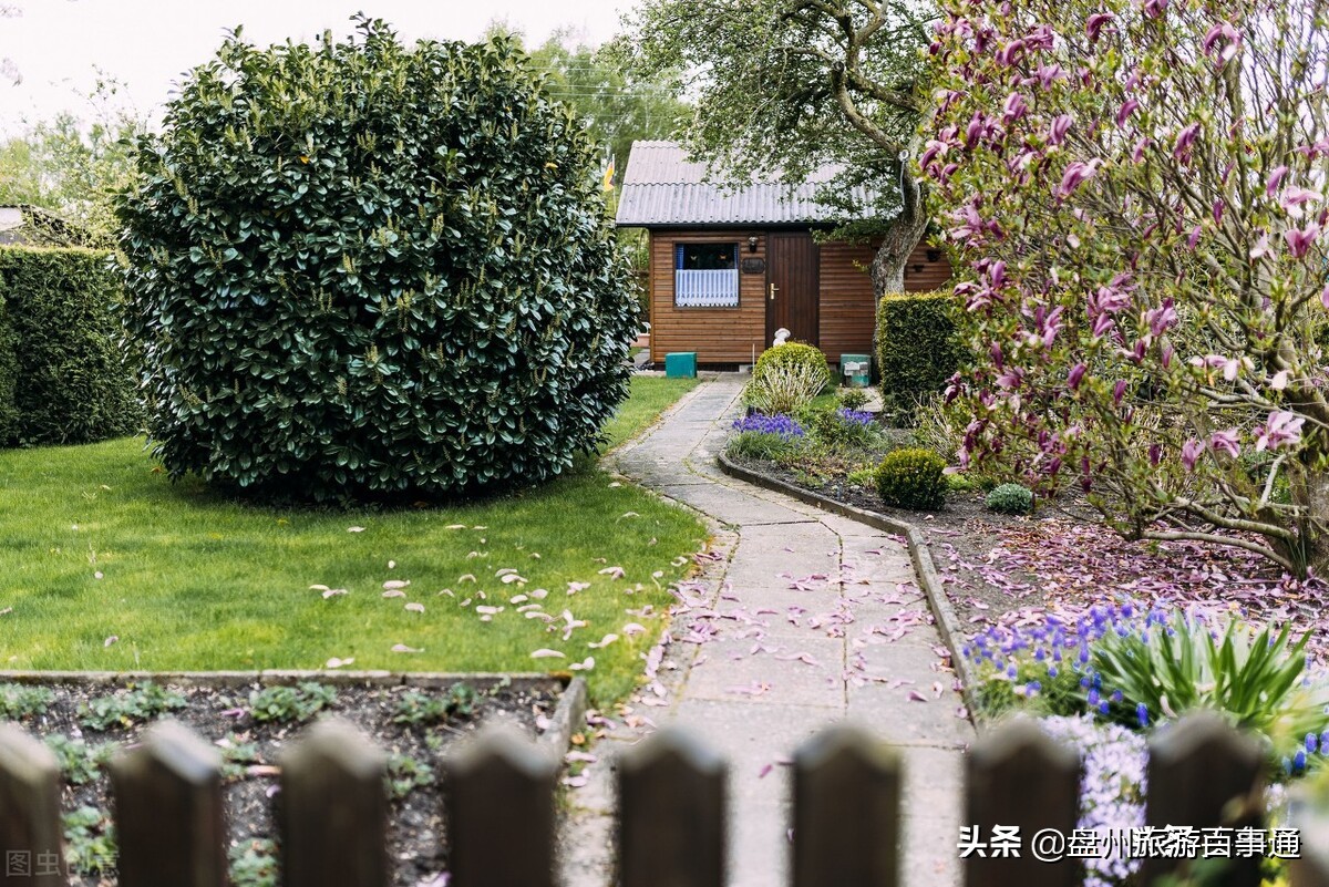 自由行攻略泰国海岛,自由岛旅游攻略