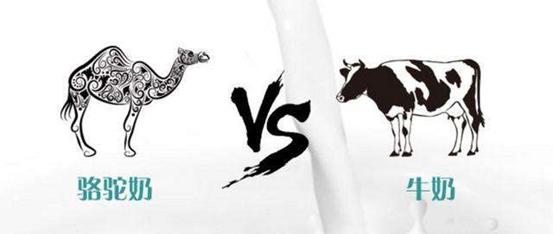 羊驼奶粉功效和作用,羊驼奶粉适合小孩子喝吗