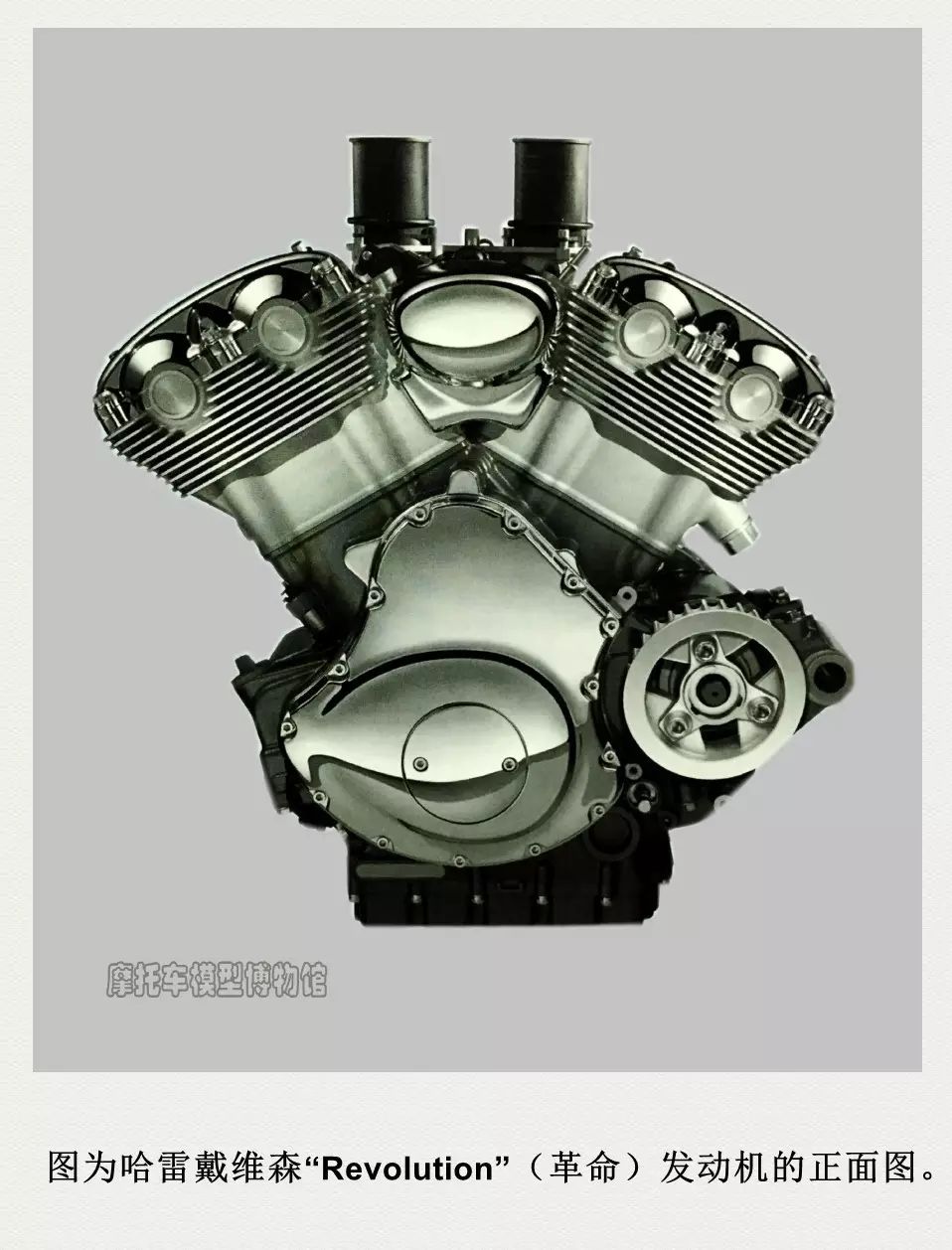 一枚小生,一枚小鲜肉视频