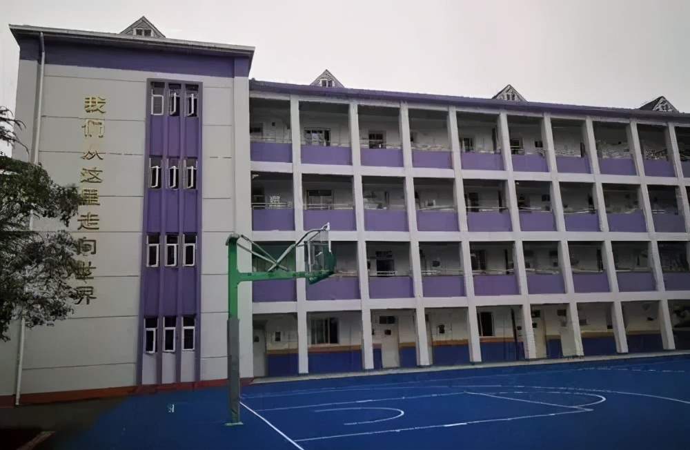 谁是你心目中的top1模板,排名第一的白龙马