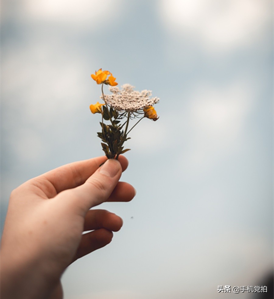 拍美照会变好看吗,拍两张美照