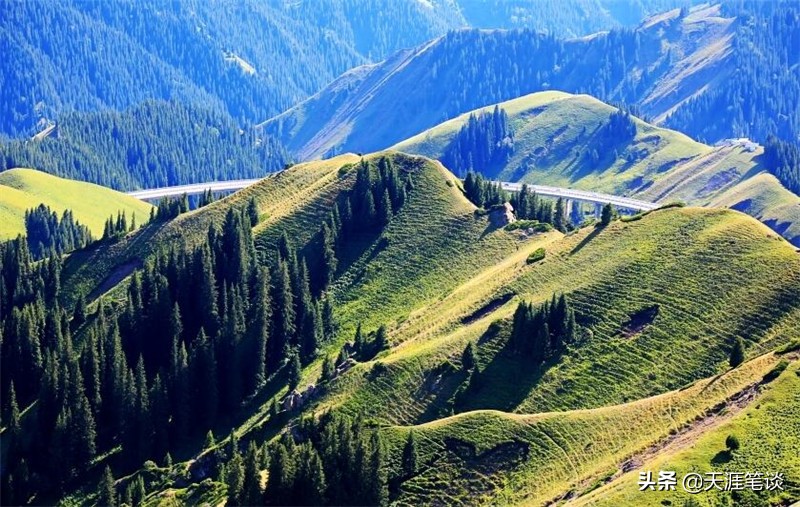 自媒体最大的收益在哪里,自媒体一个月亲身感悟