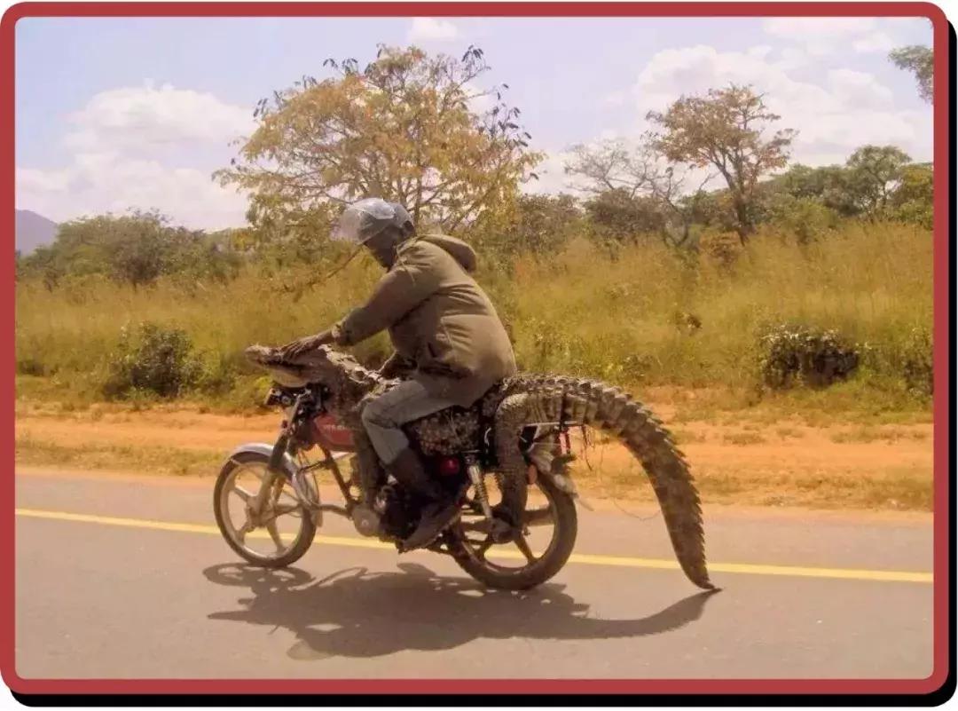 非洲黑叔叔的人体物流有多猛?