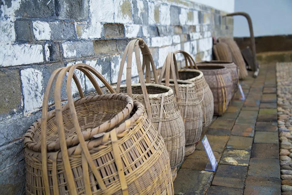 【谁不说咱家乡美】美丽中国，“乡”约万安（河西片）