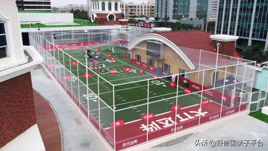 东莞儿童篮球培训机构哪个好,东莞儿童健身球哪家好