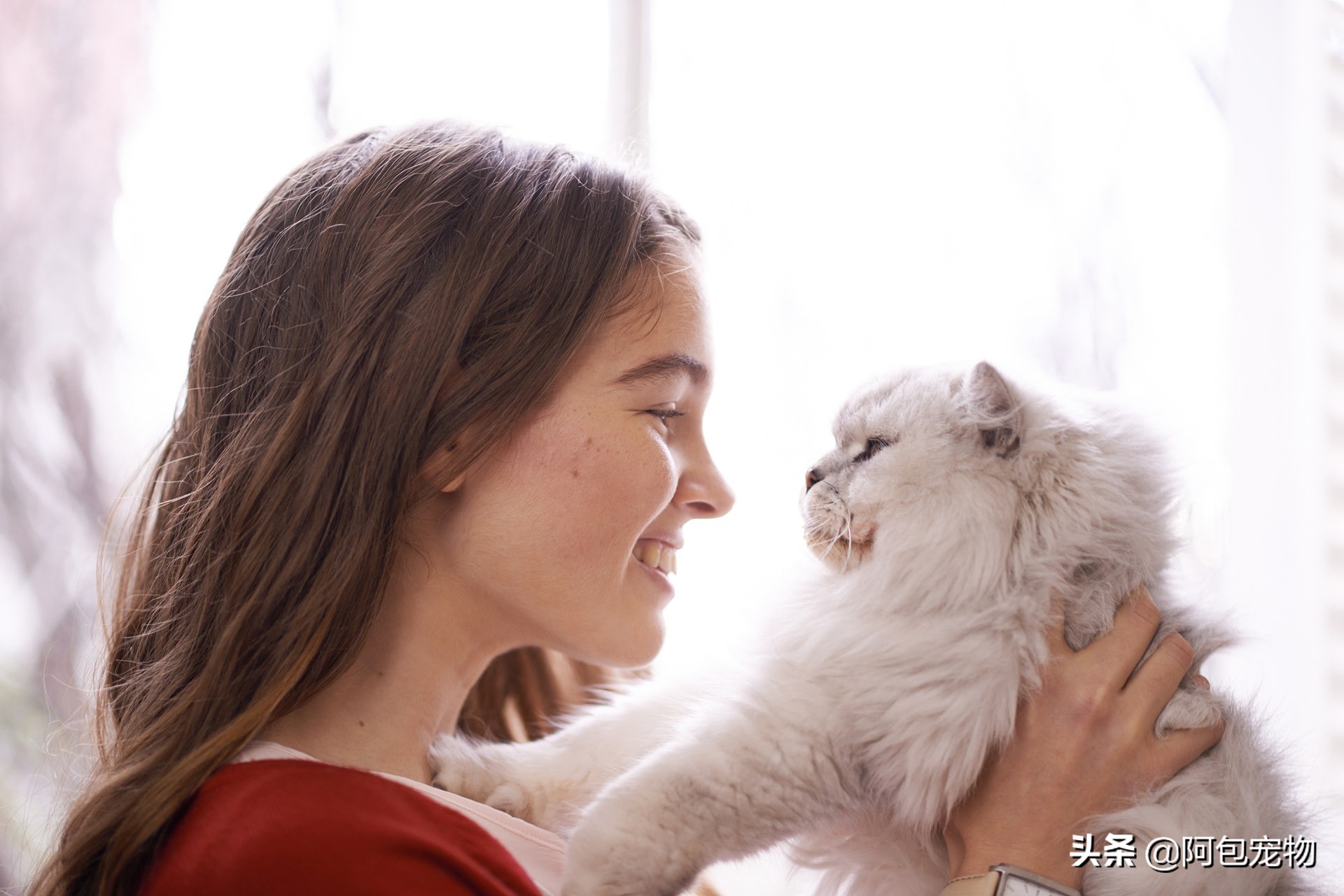 怎样一招让猫咪变得温顺听话粘人,怎样才能让猫咪喜欢主人