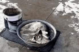 木乃伊搞笑图片4k,搞笑木乃伊制作过程