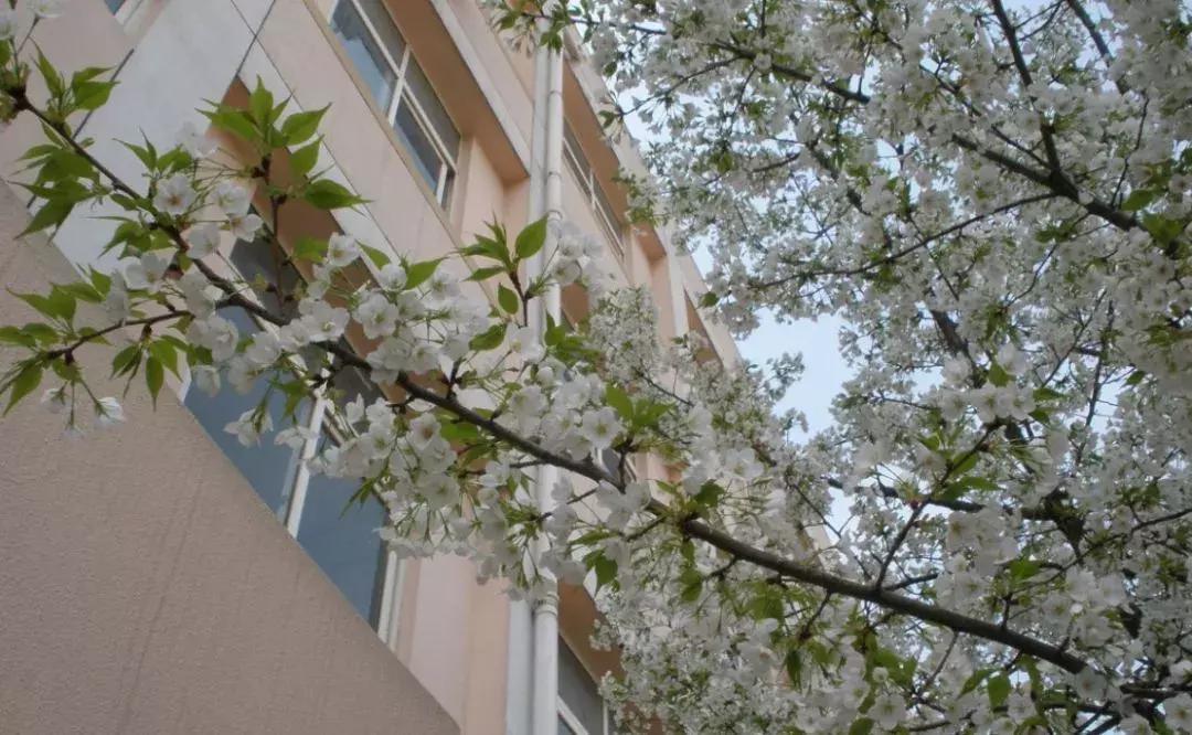 江苏省江浦高级中学在全国出名了,江浦高级中学要在全国出名了