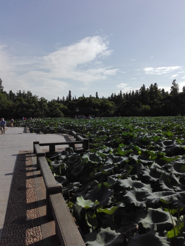 第二批西湖风景名胜区,杭州西湖的风景美如画