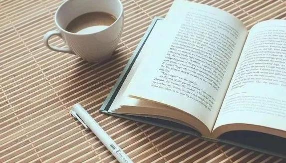 行走在书中的猫,行走在书中作文