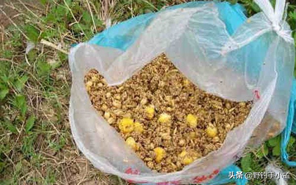 上鱼最快野钓方法冬季窝料,钓鲤鱼怎么开饵附钩性好