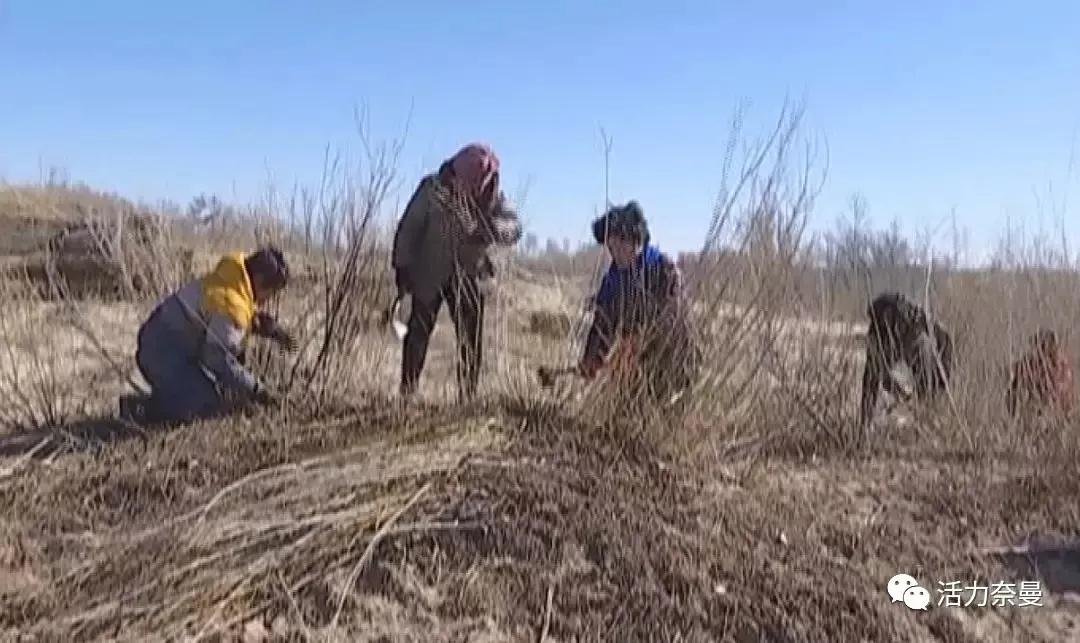 奈曼扶贫一点通,奈曼百企帮百村扶贫