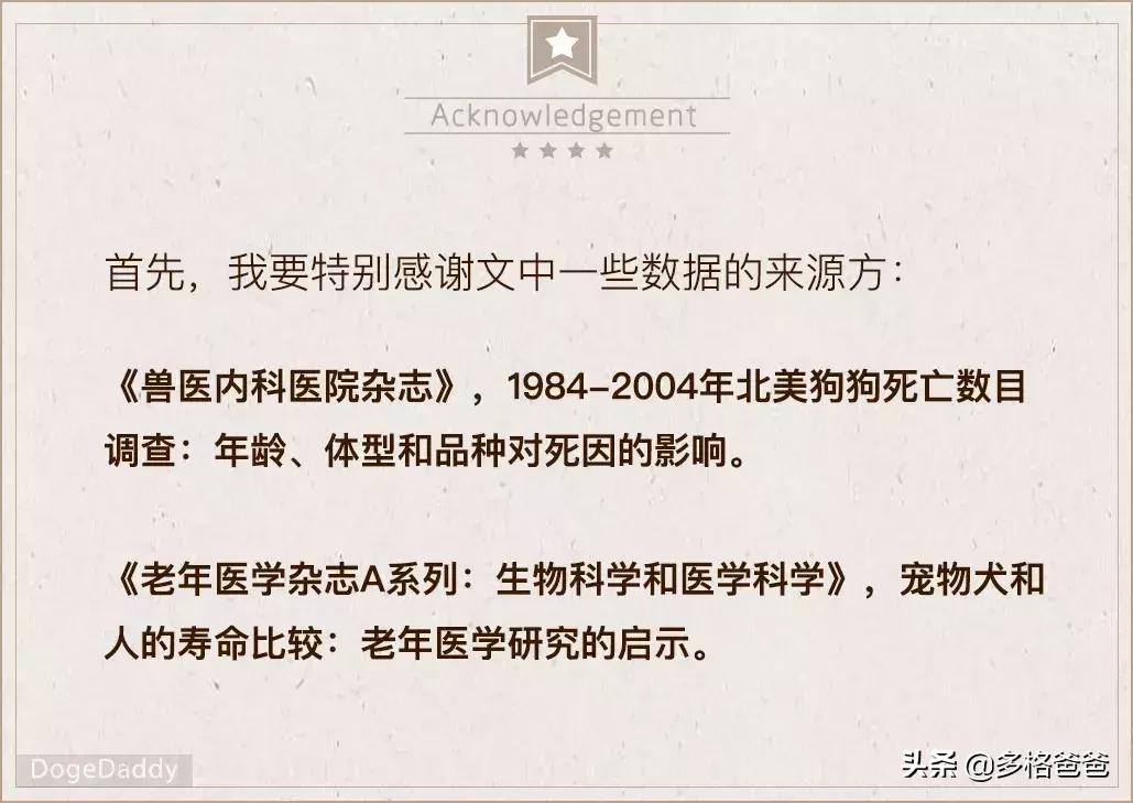 下一个狗年要等几年,下一个狗年还有多少年