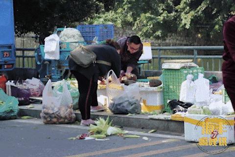 海丰一条母亲河在哪里,一条母亲河