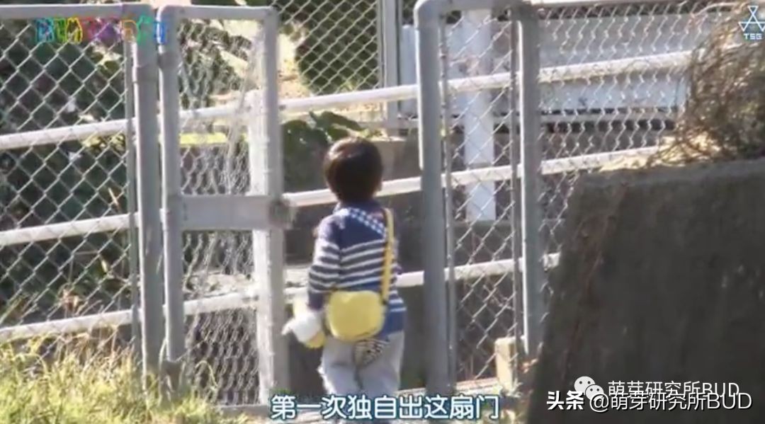 日综《初遣》：记录3个孩子初次人生大冒险，他们都哭了