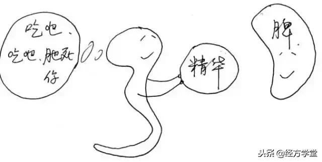 中医12经络挂图,漫画中医经络图典