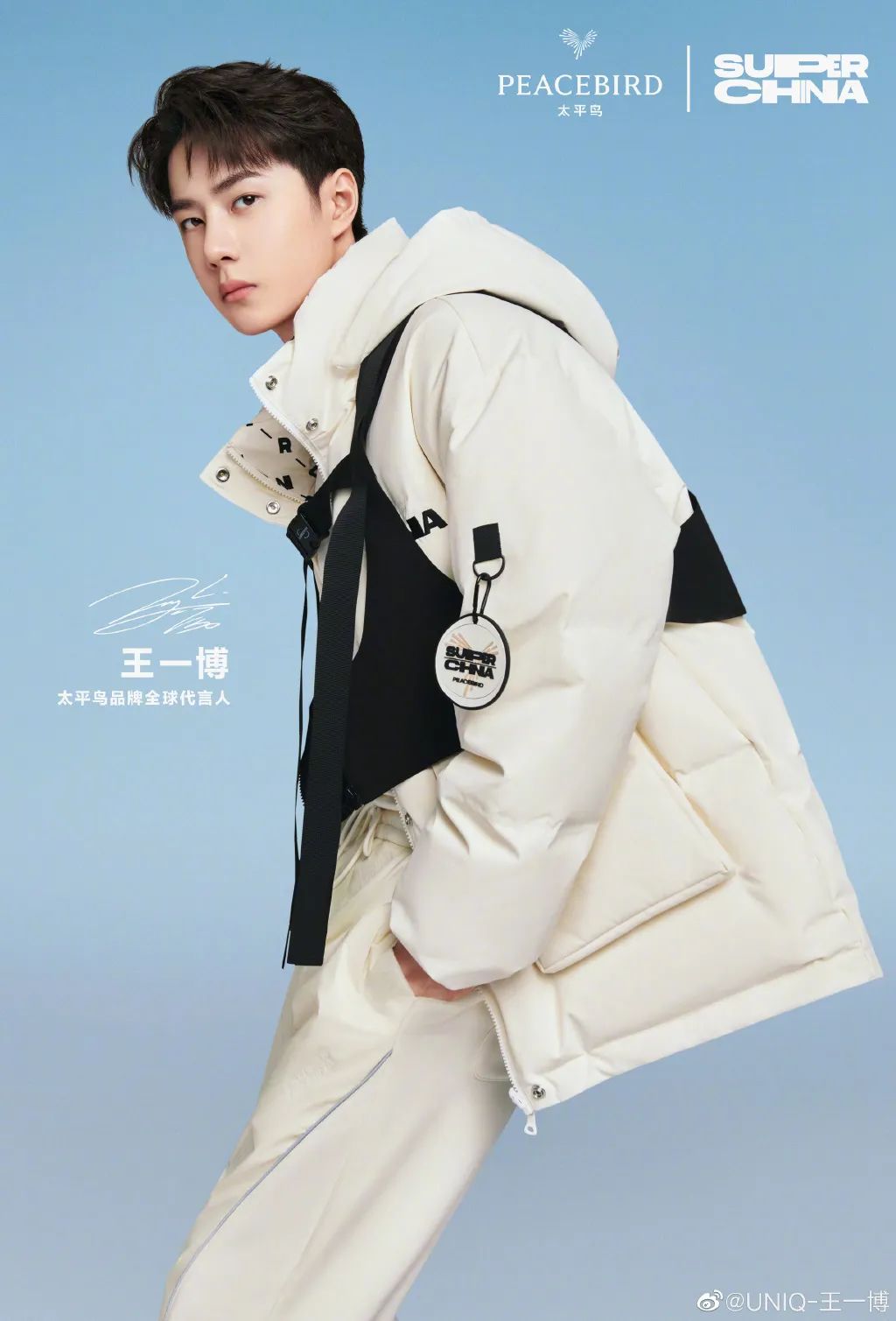 双十一明星代言销量排行,双十一明星代言数据