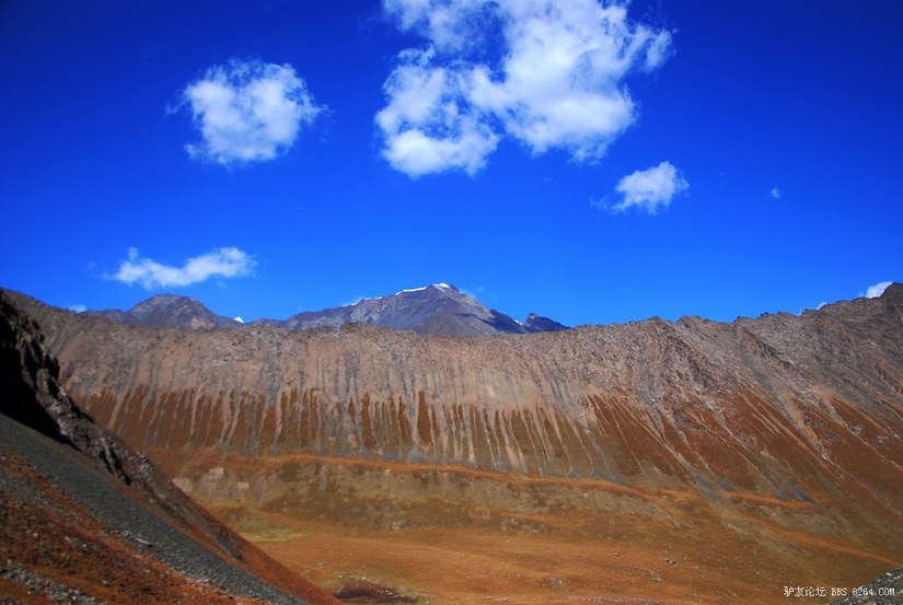 狼c调简谱教唱,狼c